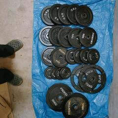 ワサイハーフラックセット