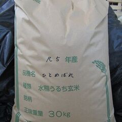 2023年産米 (品種：ひとめぼれ）の玄米３０ｋｇ入り販売