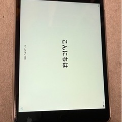 iPad mini2