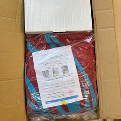 ⚠️【取引条件アリ】パラグライダーお譲りします。⚠️ライセンス持っ