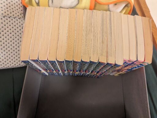 ザ・ドラえもんズスペシャルほぼ全巻（11巻だけなし）＋おまけ  