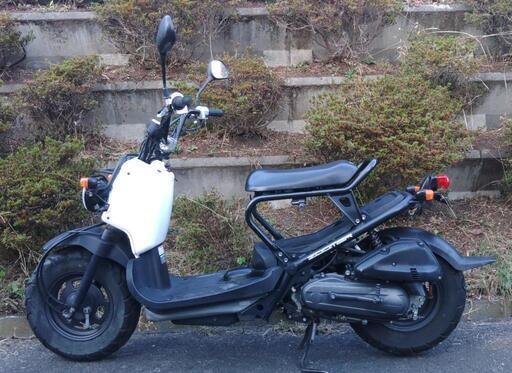 ズーマー Fi (No.2040) ホンダ ズーマー 2017年式 JBH-AF58の諸元