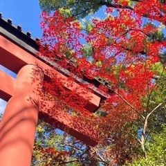 12/16 神社巡り千住編