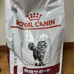 未開封　ロイヤルカナン 療法食 猫用 腎臓サポート ドライ 4kg