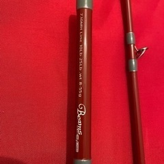 フィッシュマン　Beams 7.10MH