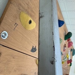 ボルダリングボード　ホームボルダー & ホールド70個 のセット