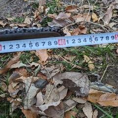 チエンソーを売ります