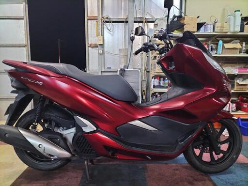 JF81 PCX❗