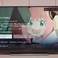 売約済M📺【動作確認済】49型4K液晶TV 東芝 REGZA 4...