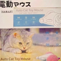 【ネット決済・配送可】おもちゃ電動マウス 猫 ブルー