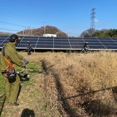 格安草刈り✨無料見積り✨伐採・剪定など