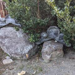かなり大きな庭石・岩・長方形の石（大谷石？）の棒