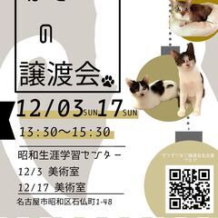 12/17(日)猫の譲渡会　in　名古屋市昭和生涯学習センター