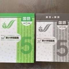 5年生 国語問題集 ＋ 漢字トレーニング 2冊セット