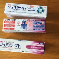 歯磨き　シュミテクト試供品