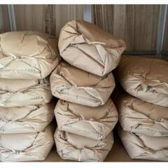 【令和5年産・残り3袋】　和歌山産　新米キヌヒカリ　玄米30kg
