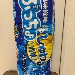 デカぷっちょクッション