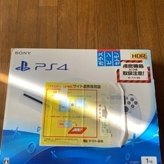 PS4 CUH-2200B B02 PlayStation4 slim 1TB-□750体限定 激レア