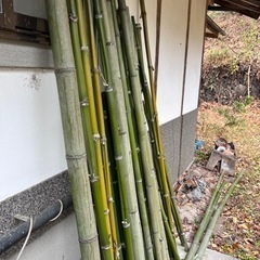 【竹あります】正月の門松🎍にいかがでしょうか？