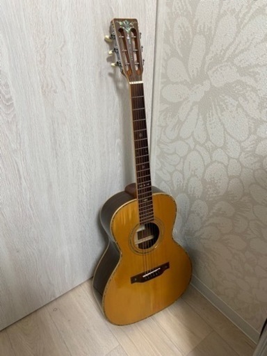 ギター　Aria ADL-05