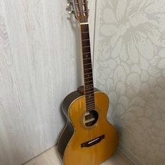 ギター　Aria ADL-05