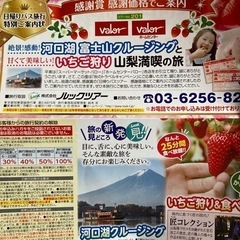 日帰りバス旅行お一人様8,800円