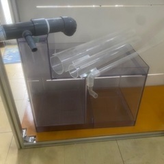 大特価　3万円『中古』120㎝オーバーフロー水槽セット