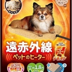 犬猫用カーペット  ※受け渡し予定