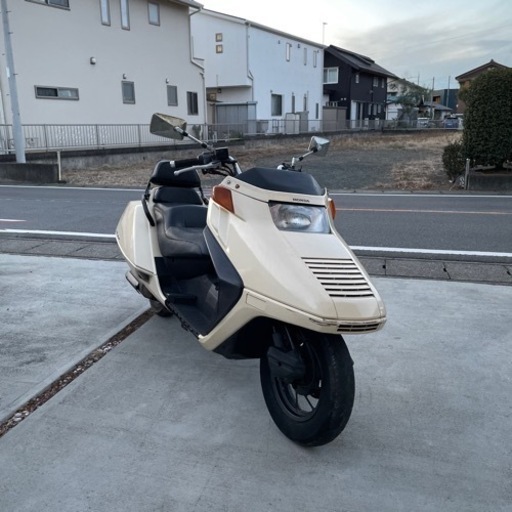 フュージョン　ベージュ