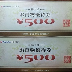 ヤマダ お買い物券 24枚12000円分