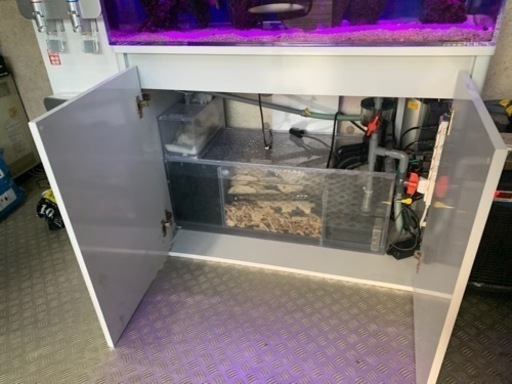 1/13土 引取り希望！ 海水アクアリウム フルセット