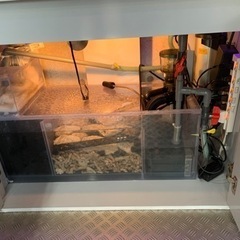 1/13土 引取り希望！ 海水アクアリウム フルセット