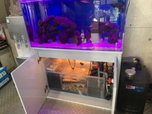 1/13土 引取り希望！ 海水アクアリウム フルセット