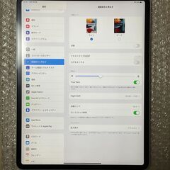 【ネット決済・配送可】apple iPad Pro 12.9イン...
