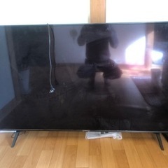 家電 テレビ 液晶テレビ