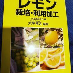 レモン ライム農家のお手伝いがしたい