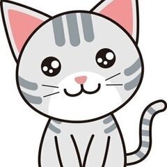 ◯大きな猫さんが好きな方に◯の画像