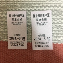 東武鉄道　乗車券2枚　株主優待　2024/6/30