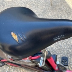 決まりました！　パナソニック電動自転車