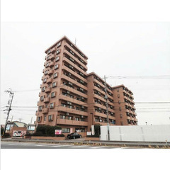 【🌴入居費用14万円🌴】✨審査No.1✨ 🔥JR東北本線 東鷲宮...