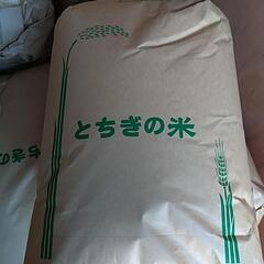 完売しました！令和５年栃木県佐野市産 コシヒカリ 玄米 ３０キロ