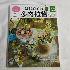 はじめての多肉植物 中古本