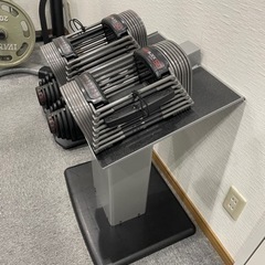 ありがとうございました　可変式ダンベル　POWERBLOCK 22kg×２個