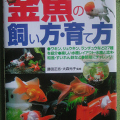 １００円　金魚の飼い方・育て方　定価１０００円