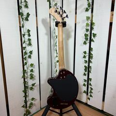 Fernandes アンプ内蔵ベース ZO-3 PIE-ZO BASS ベース Fernandes PIE