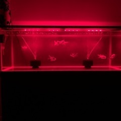 《取引中》120cm水槽フルセット等…