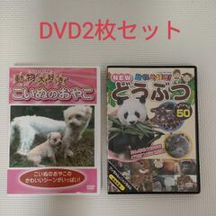 DVD 2枚セット　「どうぶつ」「こいぬ」