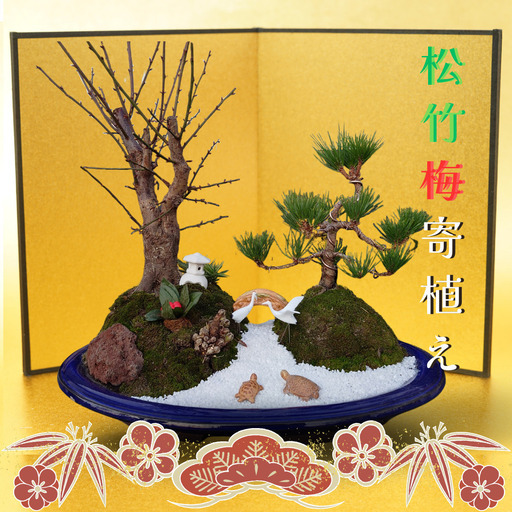 【お正月に飾る松竹梅寄植え】※写真は見本です※