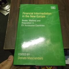 Financial Intermediation In The ...