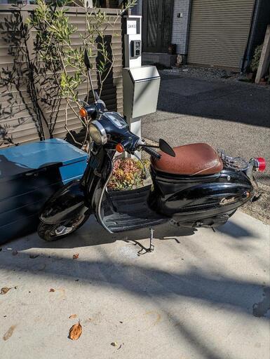 SUZUKI verde ヴェルデ 50cc バイク スクーター 原付 ブラック